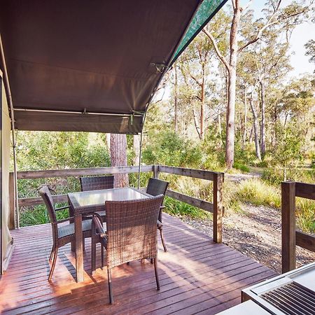 Nrma Darlington Beach Holiday Resort Arrawarra Экстерьер фото