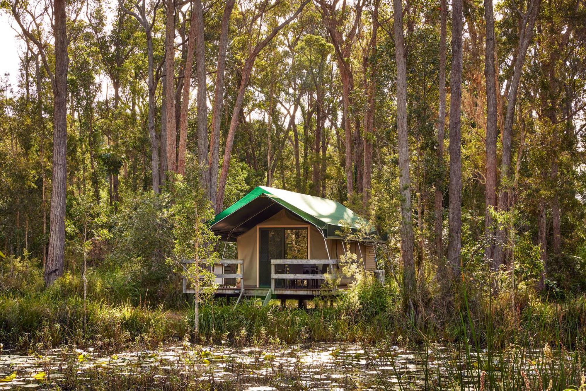 Nrma Darlington Beach Holiday Resort Arrawarra Экстерьер фото